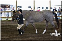 4H-District-15-0080.jpg