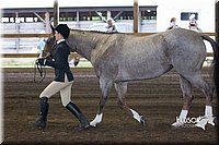 4H-District-15-0084.jpg