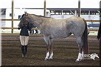 4H-District-15-0088.jpg