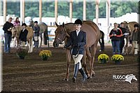 4H-District-15-0100.jpg