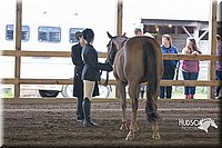 4H-District-15-0104.jpg