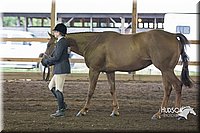 4H-District-15-0107.jpg