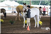 4H-District-15-0108.jpg