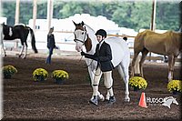 4H-District-15-0110.jpg