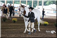 4H-District-15-0112.jpg