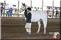 4H-District-15-0117.jpg