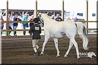 4H-District-15-0118.jpg