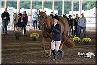 4H-District-15-0126.jpg