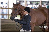 4H-District-15-0128.jpg