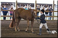 4H-District-15-0130.jpg