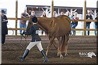 4H-District-15-0131.jpg