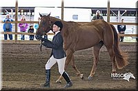 4H-District-15-0133.jpg