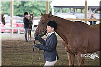 4H-District-15-0134.jpg