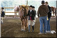 4H-District-15-0135.jpg