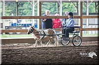 4H-District-15-0144.jpg
