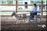 4H-District-15-0147.jpg