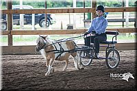 4H-District-15-0152.jpg