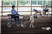 4H-District-15-0153.jpg