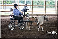 4H-District-15-0154.jpg