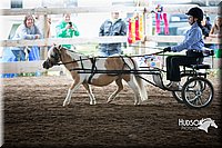 4H-District-15-0162.jpg