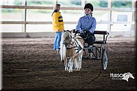 4H-District-15-0169.jpg