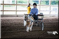 4H-District-15-0170.jpg