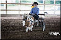 4H-District-15-0171.jpg