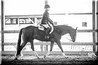 4H-District-15-0183.jpg