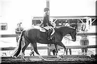 4H-District-15-0191.jpg