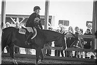 4H-District-15-0202.jpg