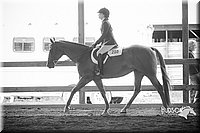 4H-District-15-0207.jpg