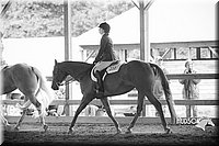 4H-District-15-0208.jpg