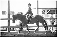 4H-District-15-0209.jpg