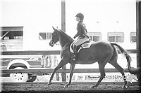 4H-District-15-0212.jpg