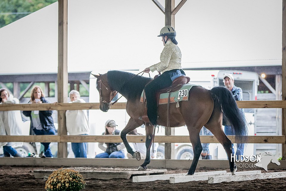 4H-District-15-0330.jpg