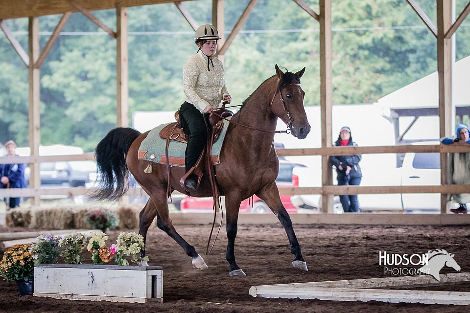 4H-District-15-0337.jpg