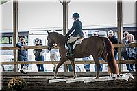 4H-District-15-0310.jpg