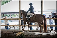 4H-District-15-0311.jpg