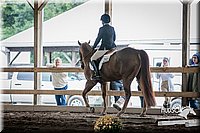 4H-District-15-0313.jpg