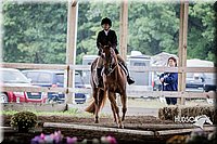 4H-District-15-0315.jpg