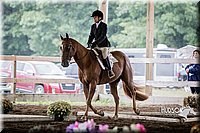 4H-District-15-0316.jpg