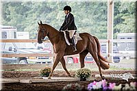 4H-District-15-0317.jpg