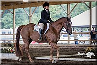 4H-District-15-0321.jpg