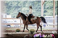 4H-District-15-0334.jpg