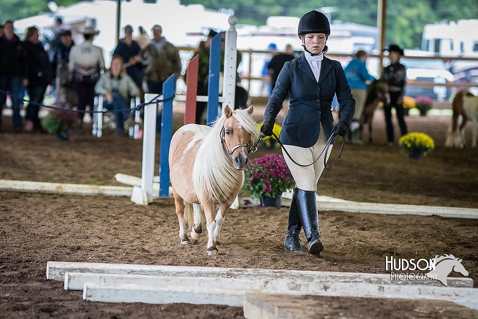 4H-District-15-0445.jpg
