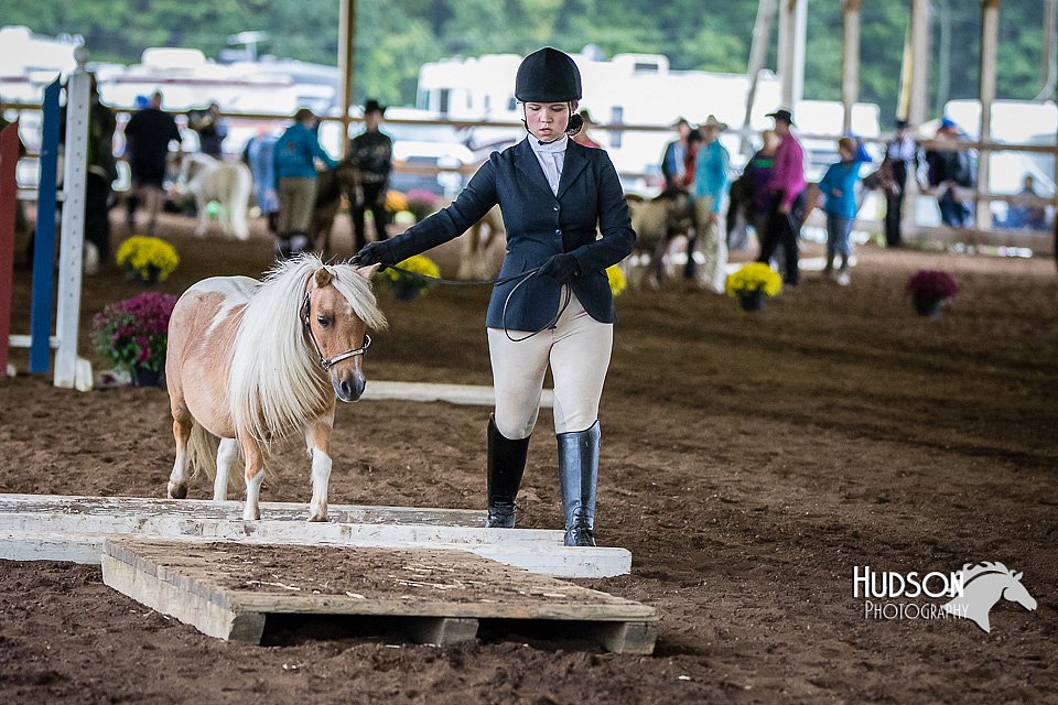 4H-District-15-0446.jpg
