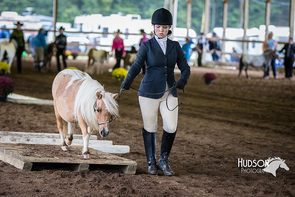 4H-District-15-0449.jpg