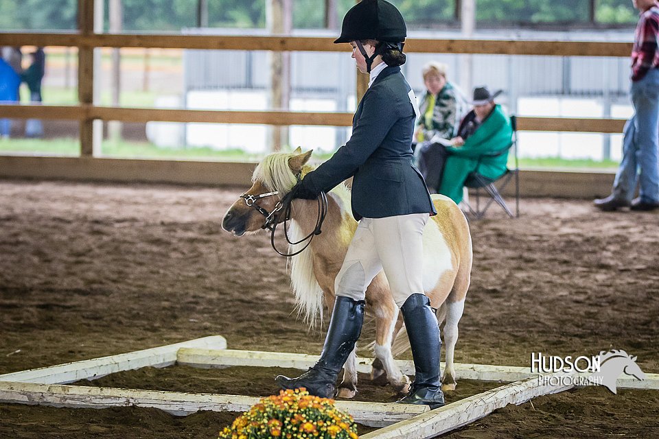 4H-District-15-0454.jpg