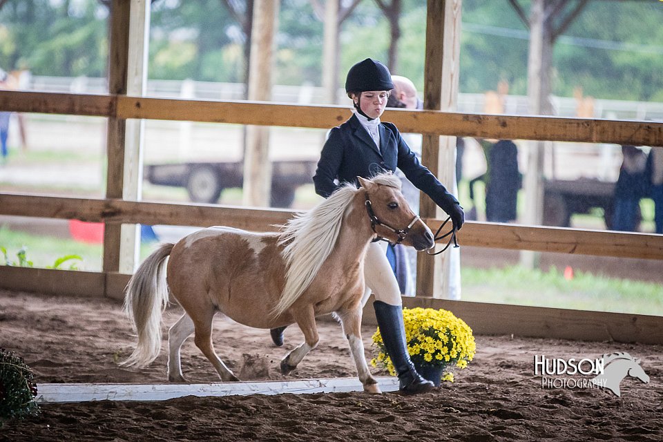4H-District-15-0455.jpg