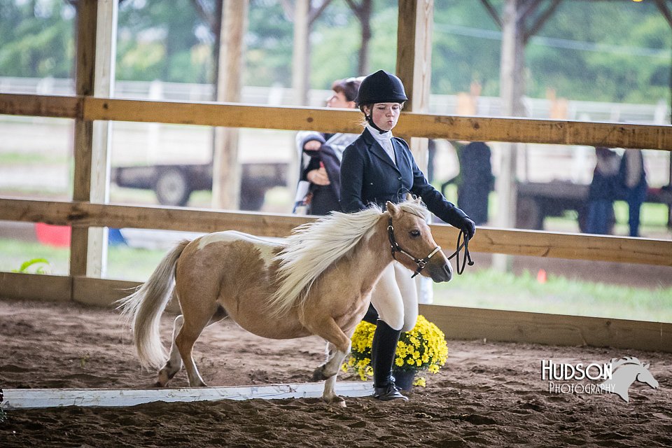 4H-District-15-0456.jpg